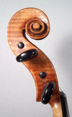 Violin Gnnaro Gagliano. head